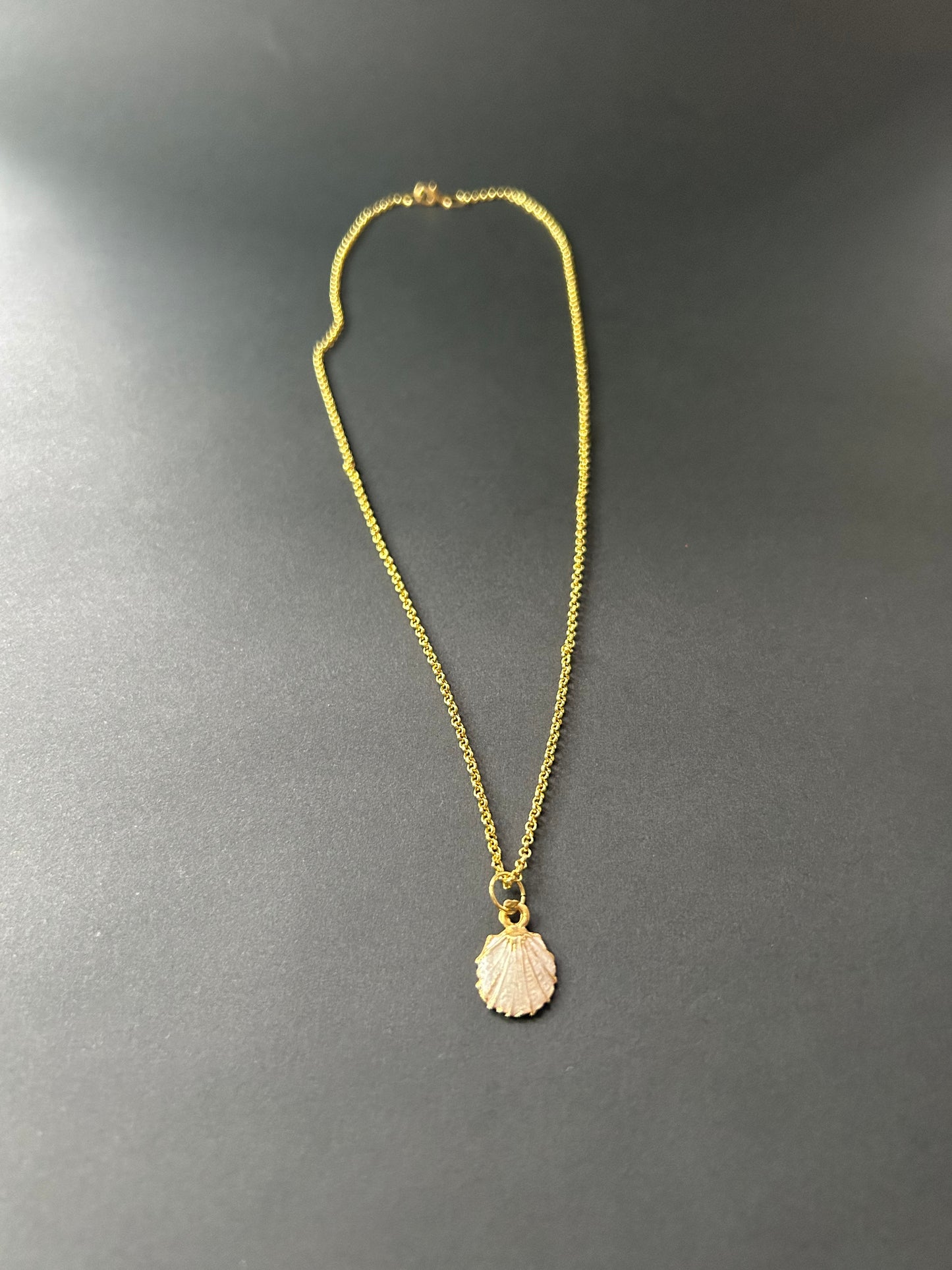 Shell pendant Necklace