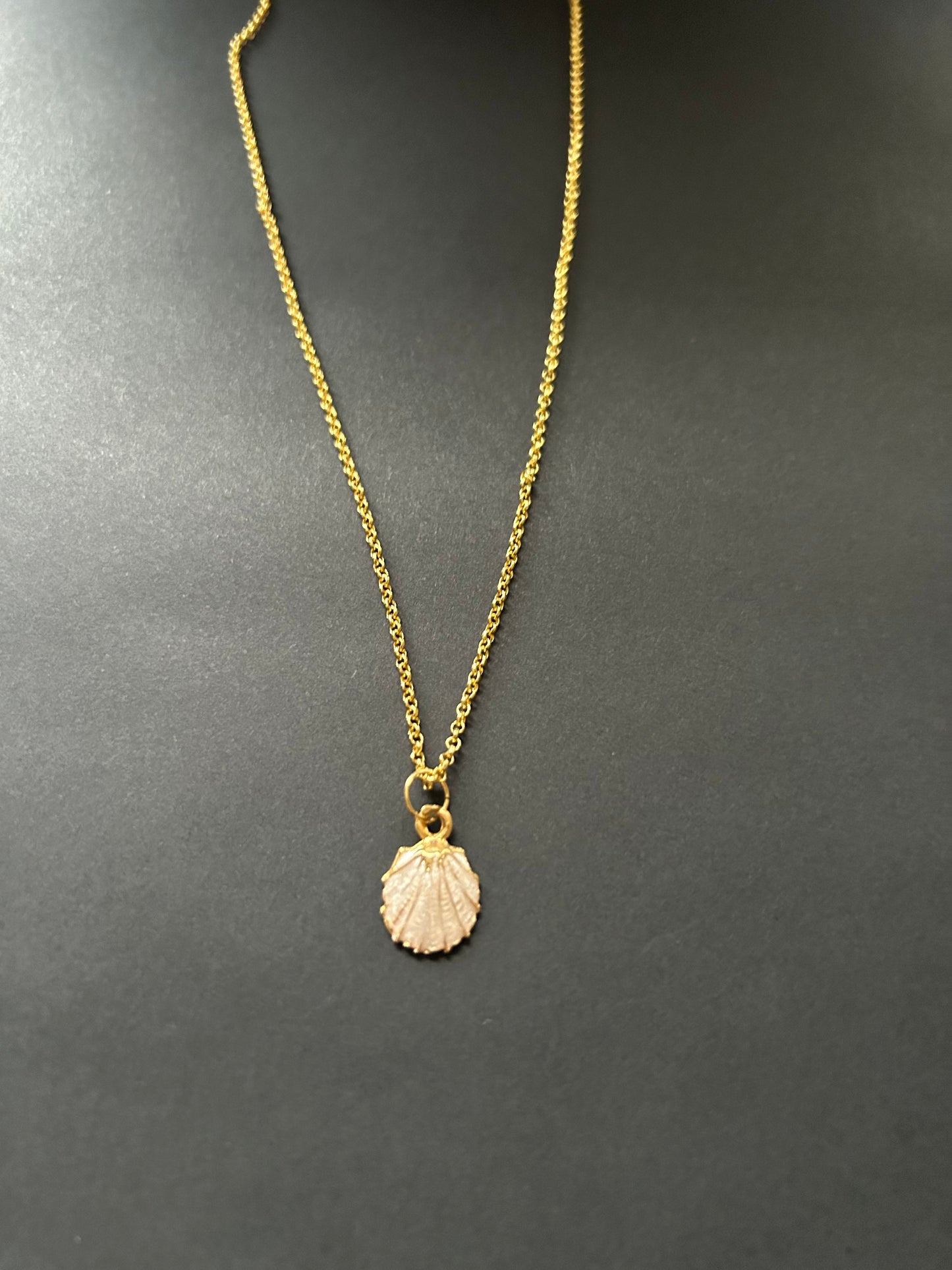 Shell pendant Necklace