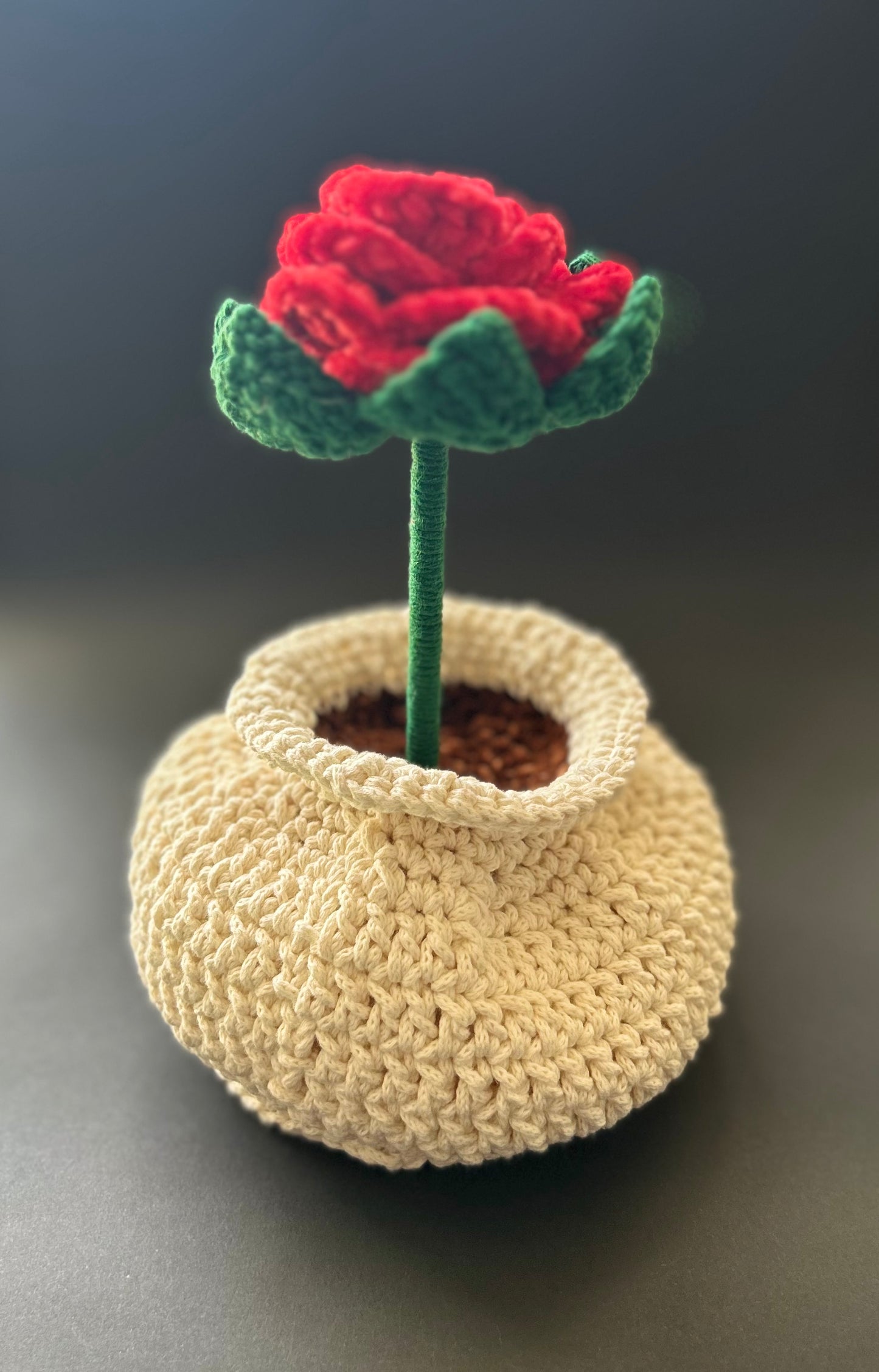 Potted Rose