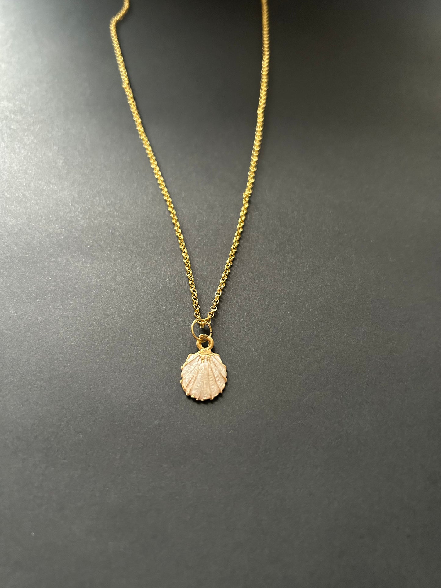 Shell pendant Necklace